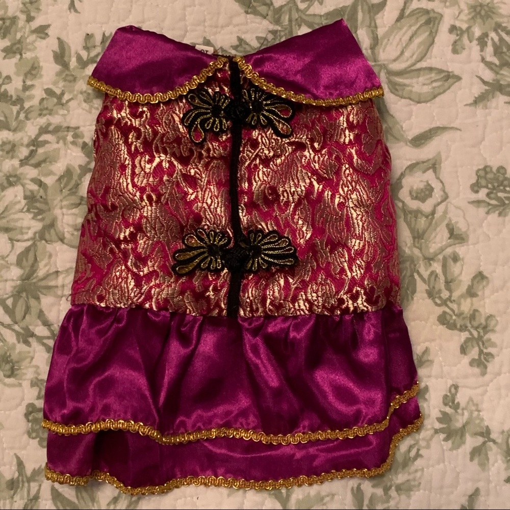 Epcot all about China dog coat